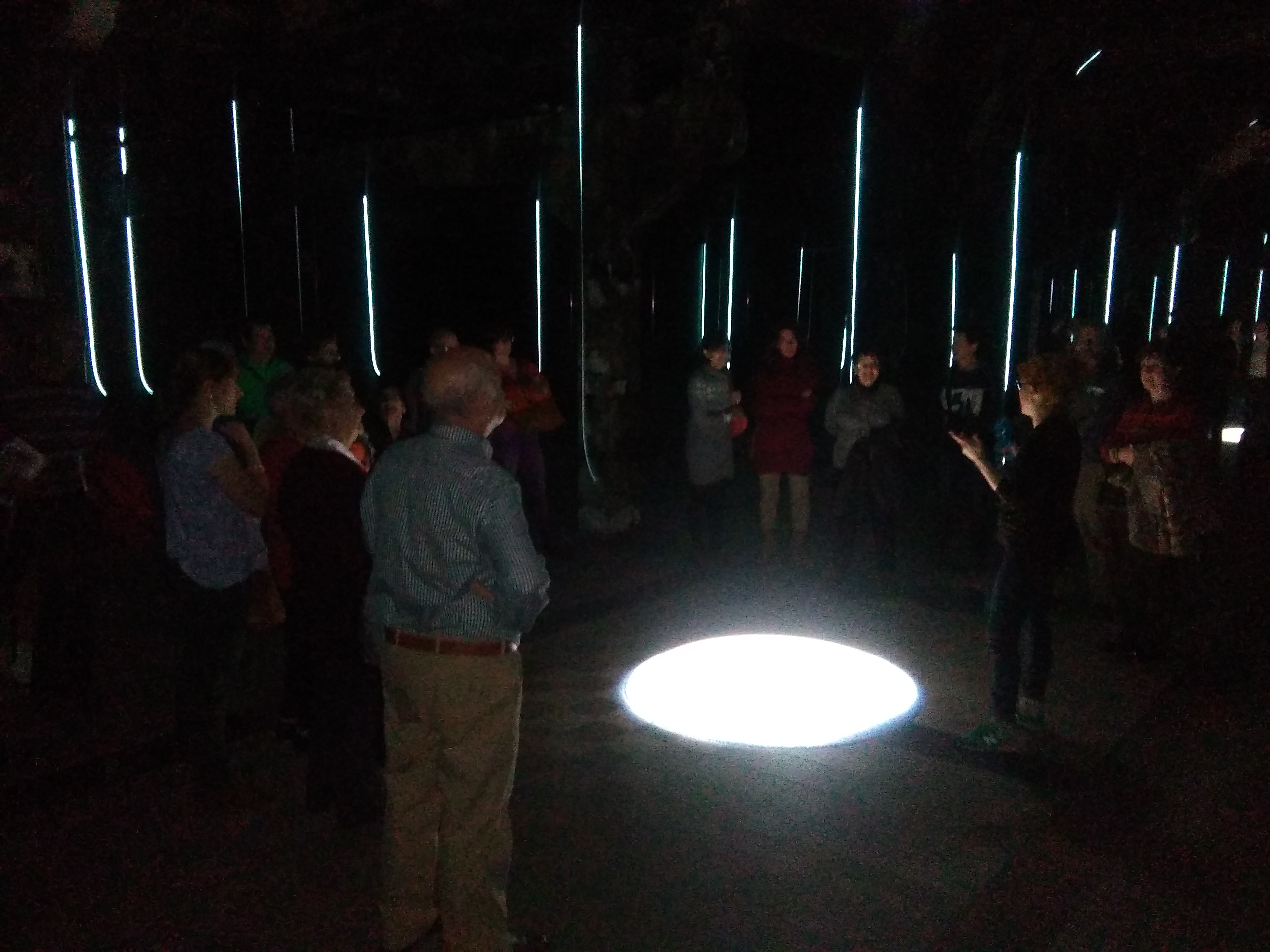 Actividades FAE Actividades FAE Visita al Museo