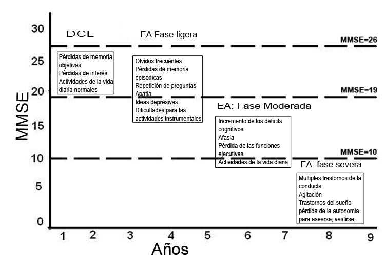 Fases del Alzheimer